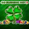 40 Shining Hot 6